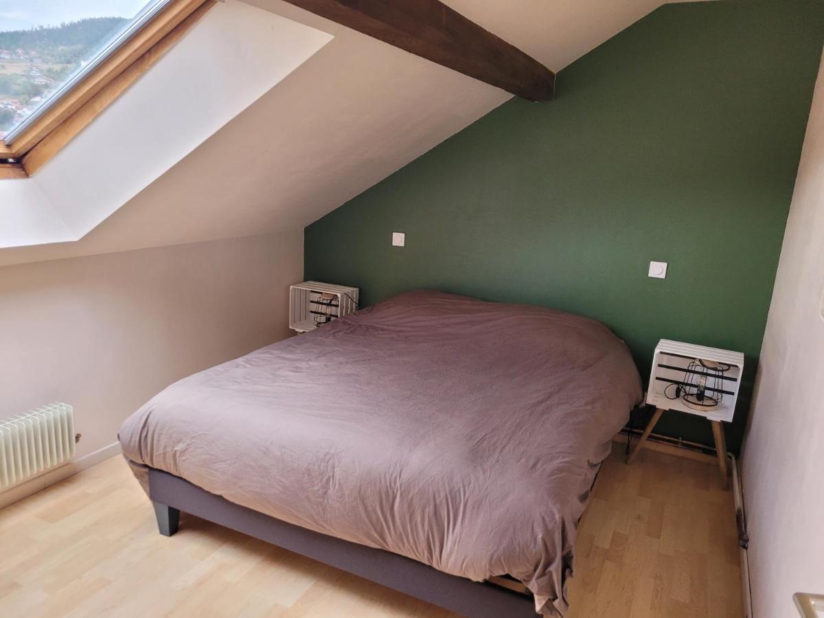 Le Tresor Des Vosges Appartement Spacieux Et Lumineux 80M2 - Jeux Arcades - Ideal Famille 4 A 6 Personnes Жерарме Экстерьер фото